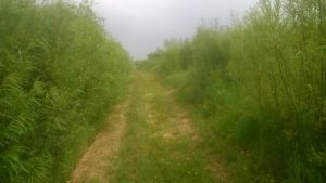 AFBI Farm