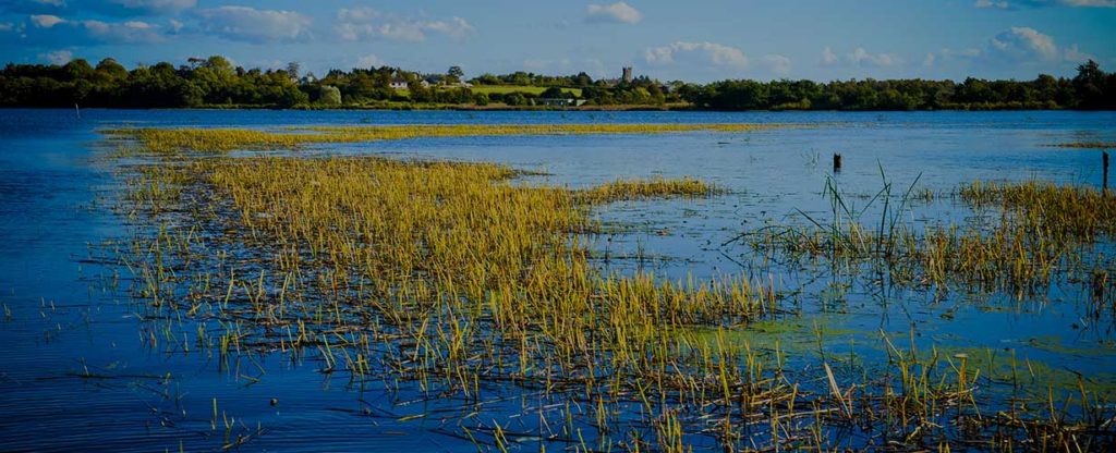 Lough Neagh, WaterPro