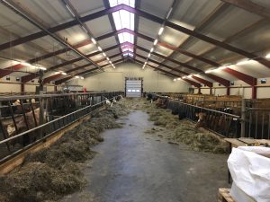 Waterpro dairy farm visit in Iceland