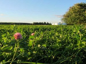 Crop rotation