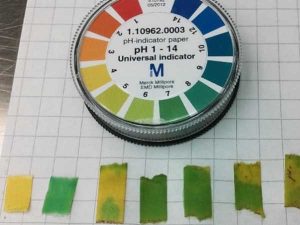 Soil pH level