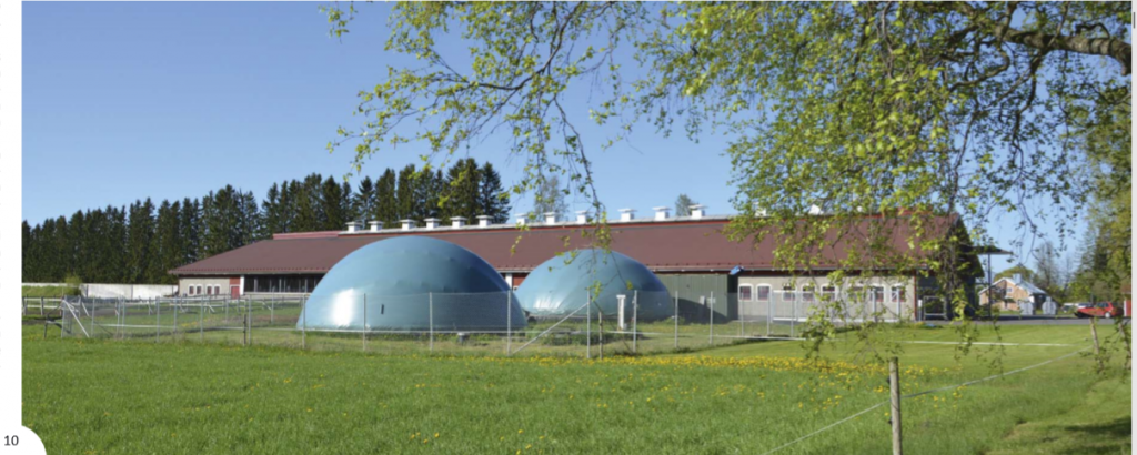 Ravinnerenki Project